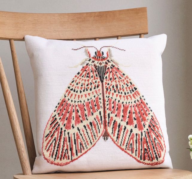 Footman Moth
